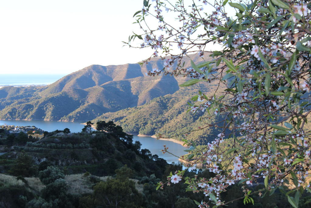Hotel Rural Los Jarales อิสตาน ภายนอก รูปภาพ